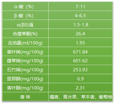 TMS—馬踏青風(fēng)